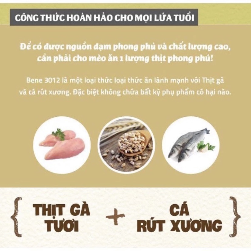 Hạt hữu cơ cho mèo mọi lứa tuổi Natural Core