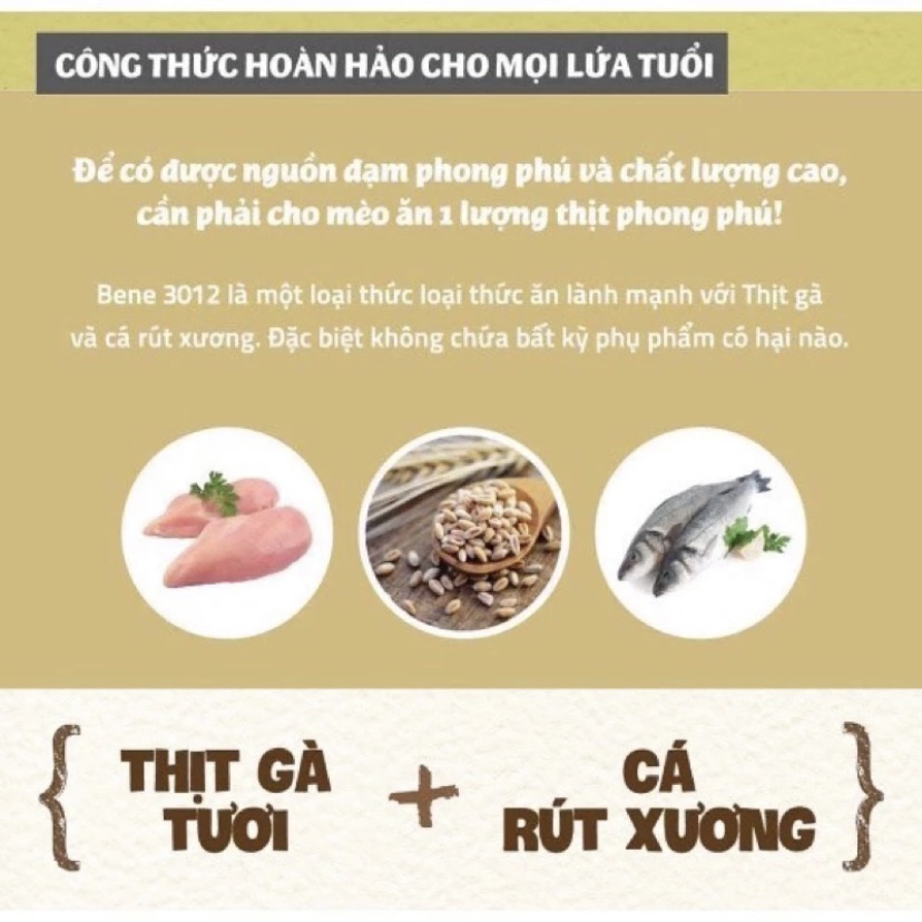 hạt hữu cơ cho mèo mọi lứa tuổi Natural Core (5kg)