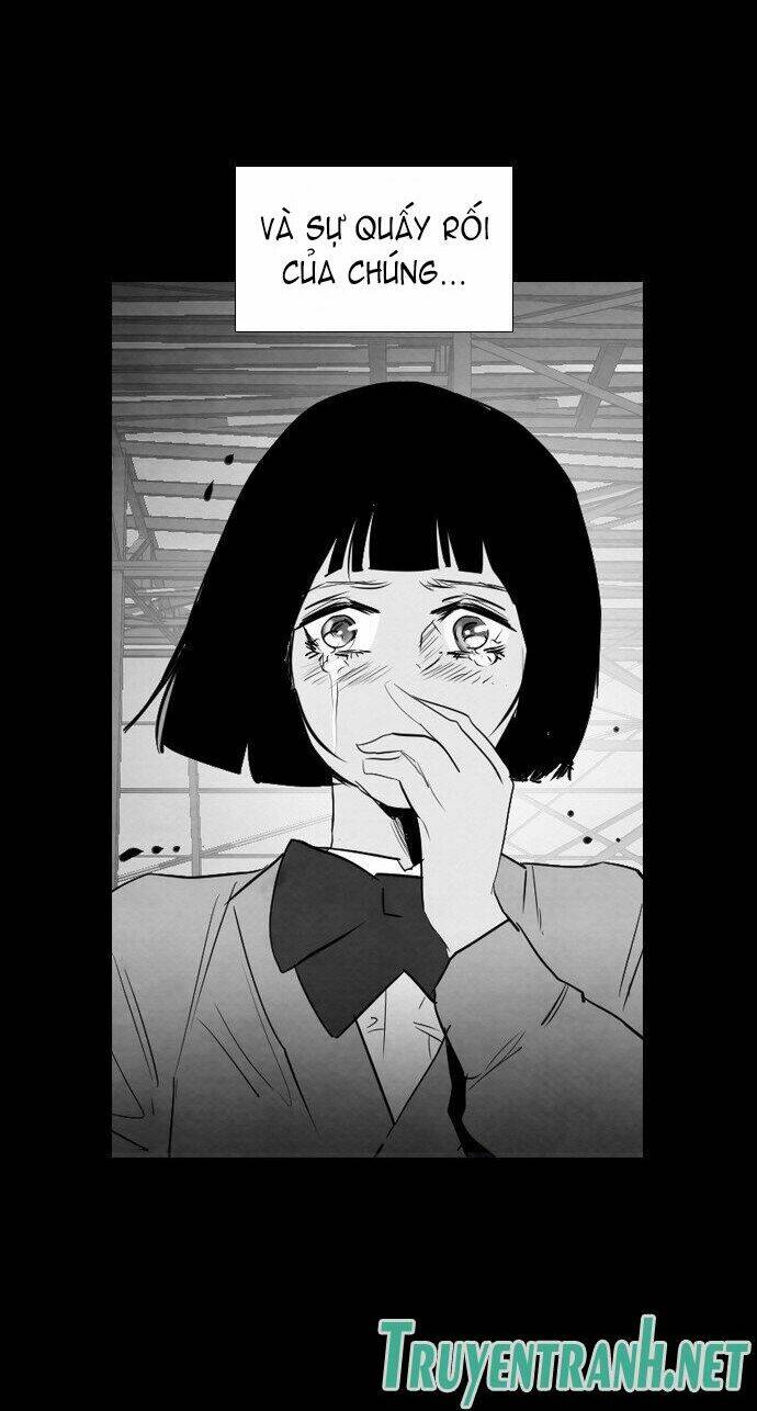 nạn nhân hồi sinh chapter 22 40