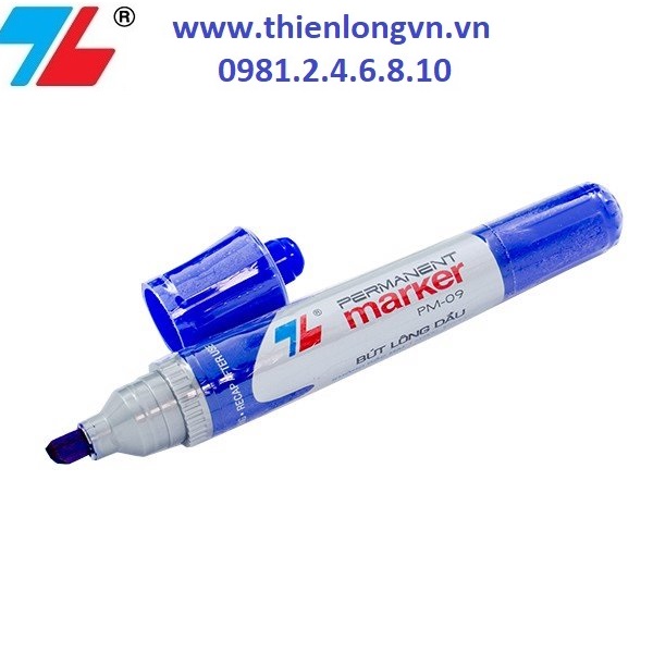 Hộp 10 cây bút lông dầu Thiên Long; PM-09 mực xanh