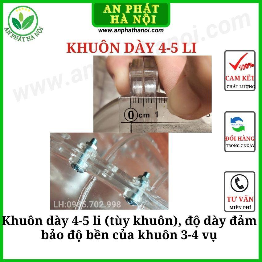 Khuôn Bưởi hình Tiểu Đồng loại đẹp - Khuôn tạo hình trái cây TÀI LỘC dày 4,5 li dày đủ phụ kiện