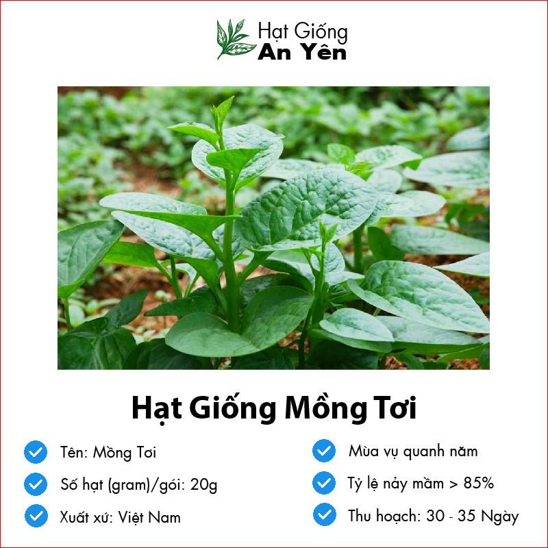 Hạt giống Mồng Tơi thu hoạch sớm, dễ trồng, nảy mầm cao, sinh trưởng khoẻ