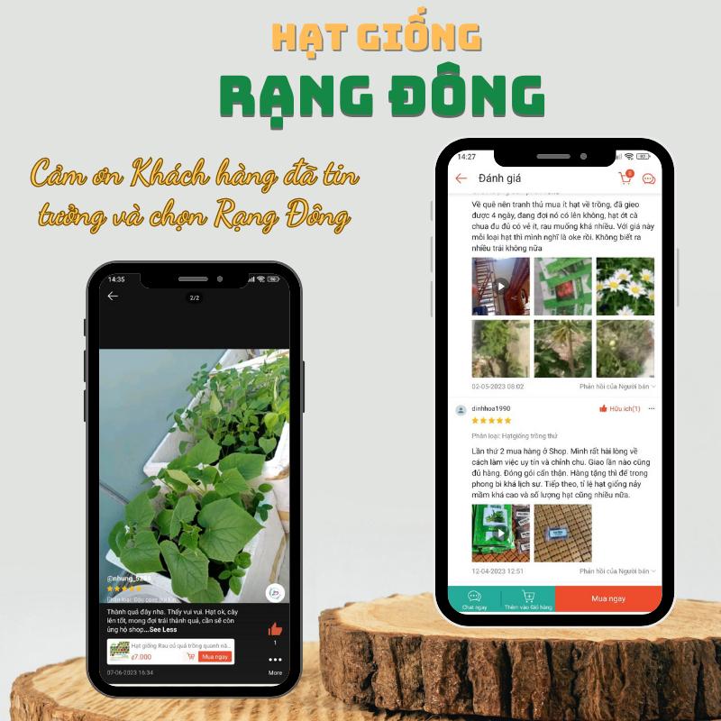 Hạt giống Ớt Xiêm Rado 712 (0,2g~40 hạt) giống cao sản, trái sai, cay nồng, trồng quanh năm - Hạt giống Rạng Đông