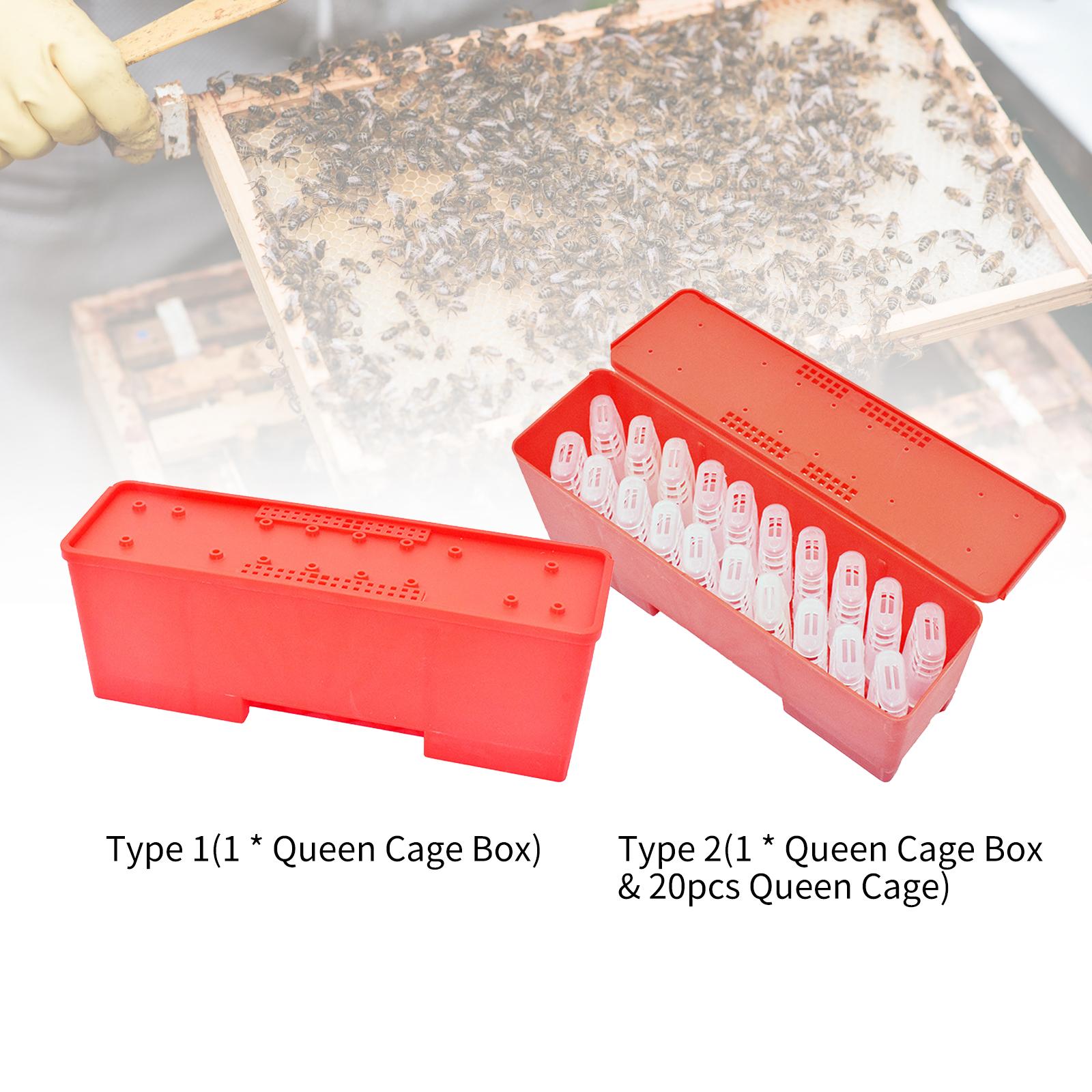 Bee Queen Transport Box Bee Queen Cage Holder Queen Bee Rearing System for Beekeeper Supplies Hive Tool Kit