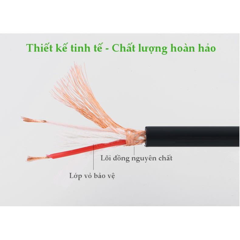 Cáp chuyển đổi từ 6.5mm sang AV Cannon (XLR) âm cho microphone, stereo, mixer, amplifier UGREEN AV131 - Hàng chính hãng