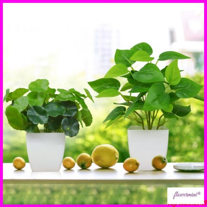 Combo 3 chậu hoa và cây giả để bàn trang trí phòng khách, decor kệ tủ, làm quà tặng nhỏ xinh Flowermini BC-03