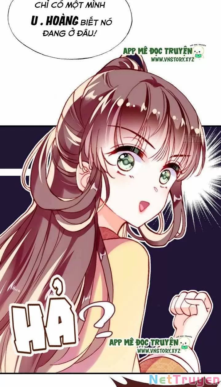 lại bị bệnh chiều chuộng quấn lấy chapter 11 41