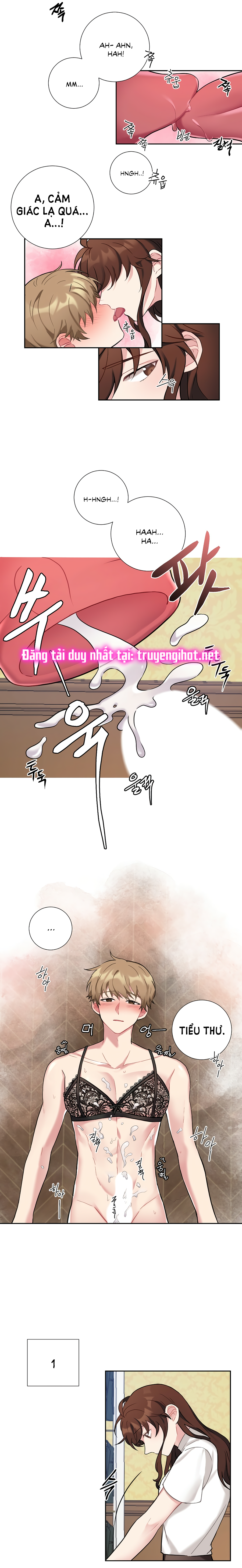 tiểu thư và dàn hầu nam mlem chapter 17 17