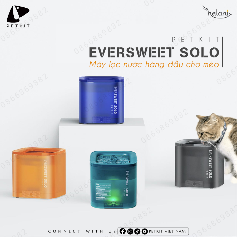 Máy nước Petkit Eversweet Solo