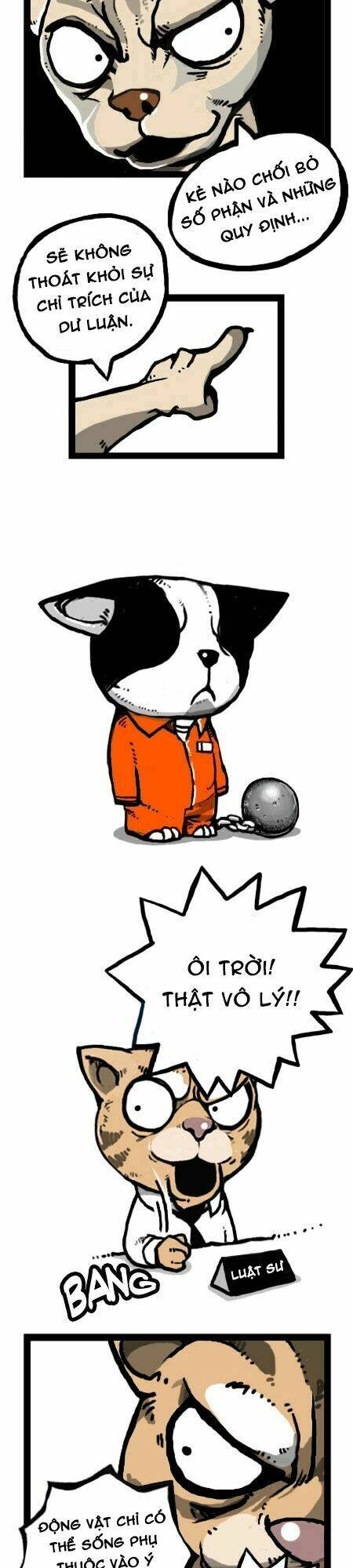 earth, human, and animal chapter 22 14