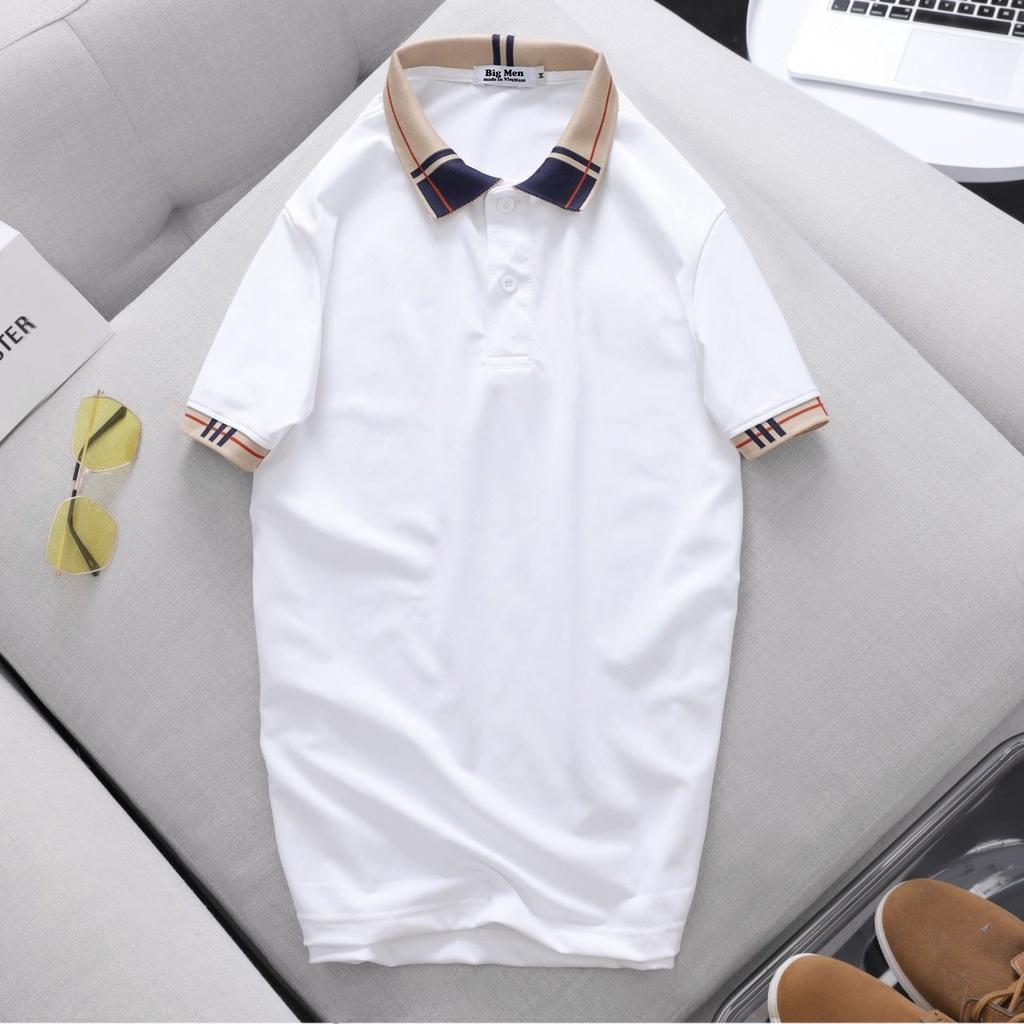 Áo thun polo cotton 100% phối cổ đẹp, thời trang 80-140kg