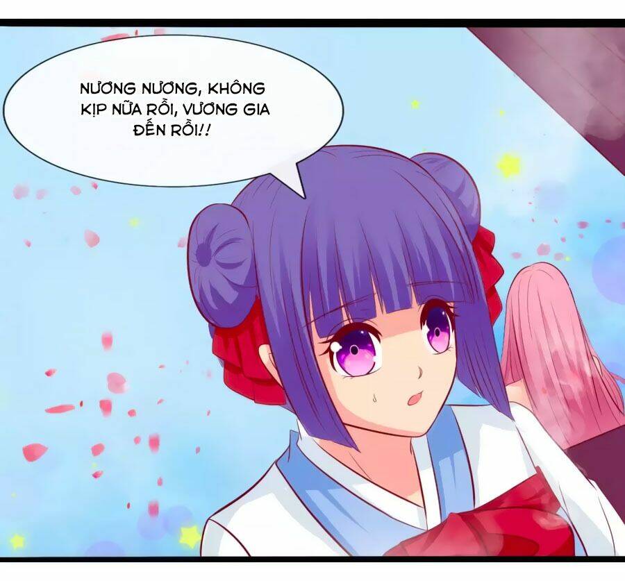 thỏ yêu tiểu vương phi chapter 51 11