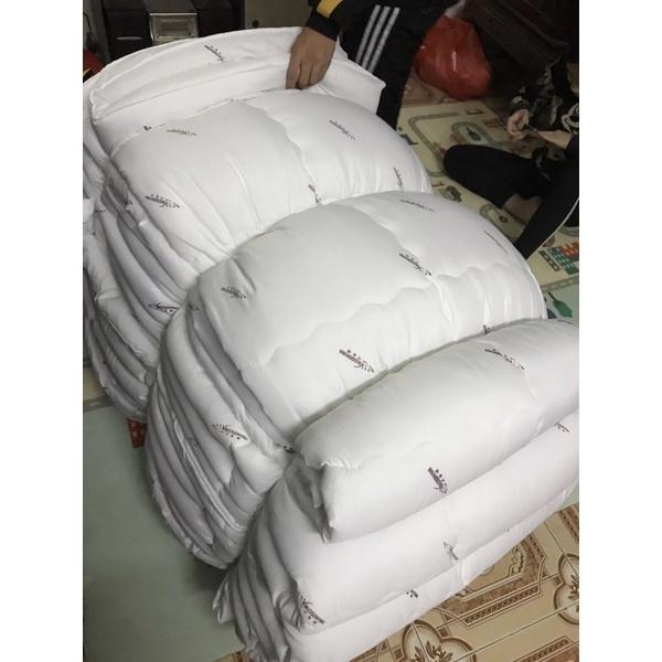 Ruột Chăn Bông Tấm Trắng Cao Cấp