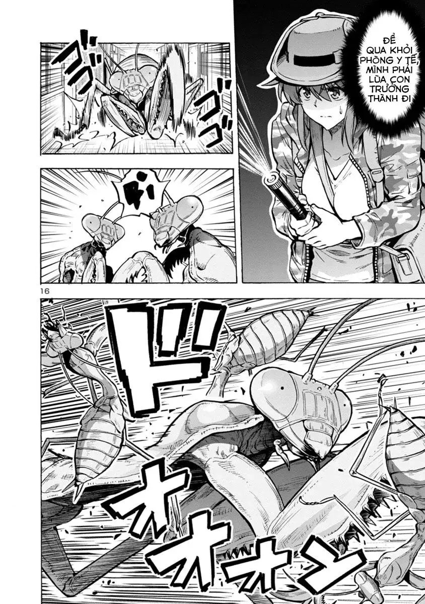 Siêu Đảo Côn Trùng chapter 14.2 16