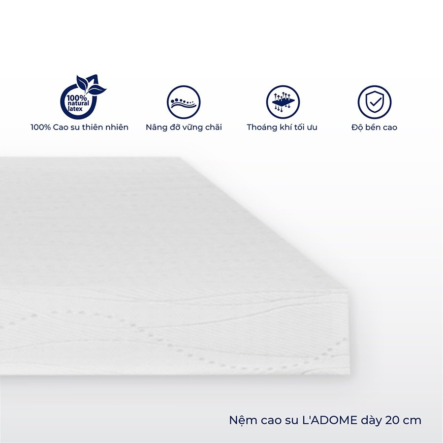 Nệm cao su thiên nhiên Liên Á L'ADOME-Bảo hành 12 năm