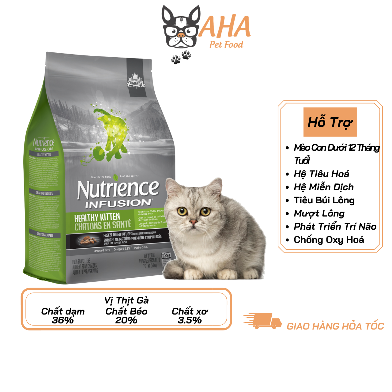 Thức Ăn Cho Mèo - Nutrience Bao 500g - Thịt Gà, Cá Hồi, Cá Trích - Hạt Cho Mèo Giúp Da Lông, Tiêu Hoá, Miễn Dịch