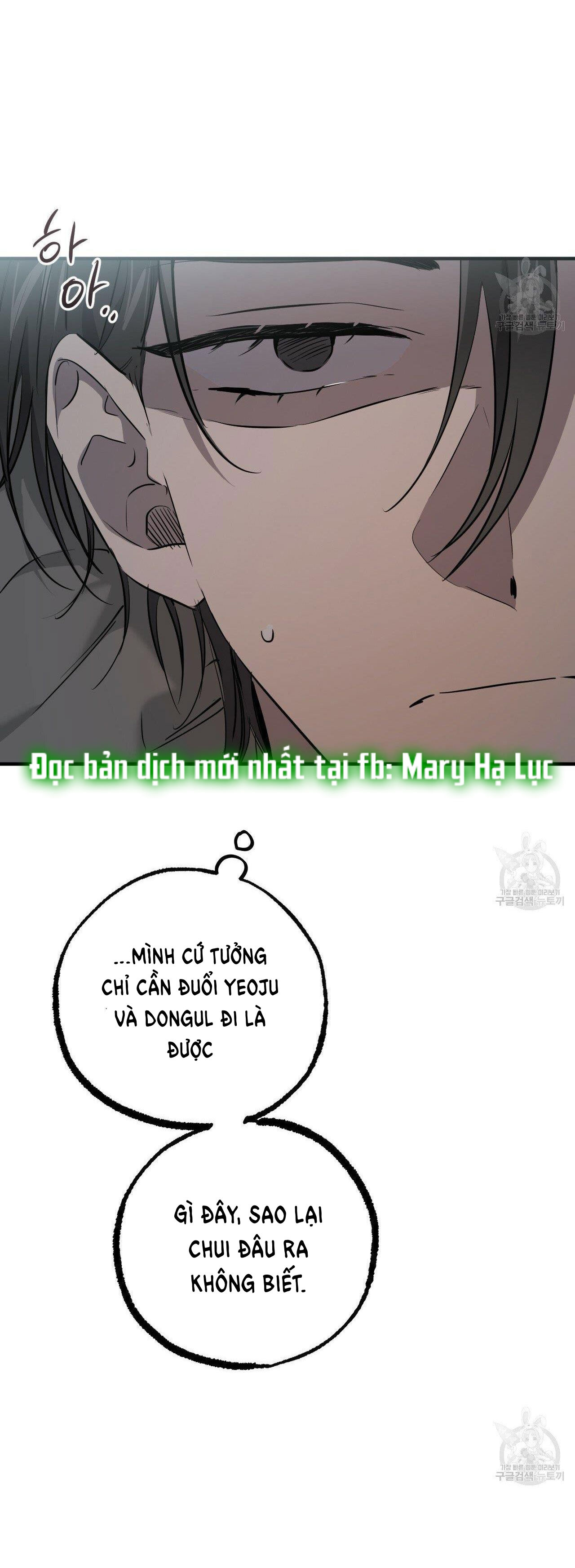 những chú thỏ của hapypy chapter 52.2 1