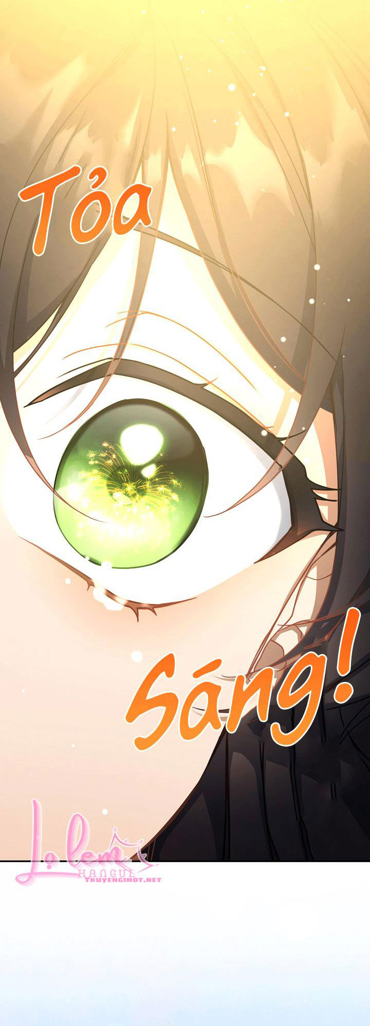 hướng đến ánh dương một lần nữa chapter 21.1 29
