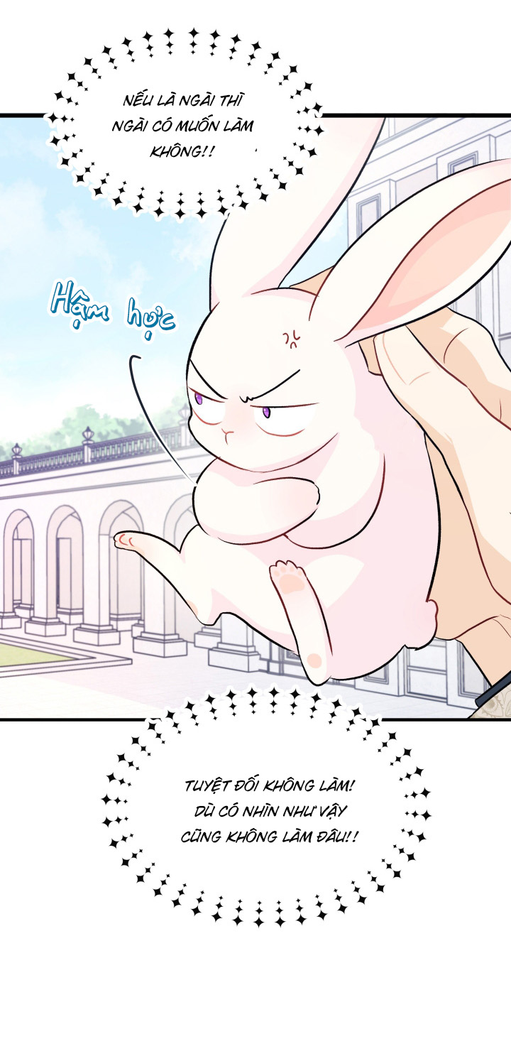 mối liên kết giữa báo đen và bé thỏ chapter 9 33