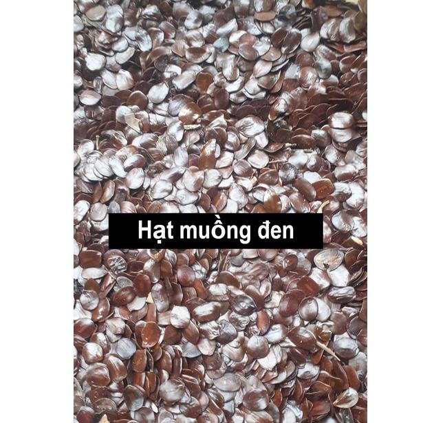 Hạt giống muồng đen túi 50gram