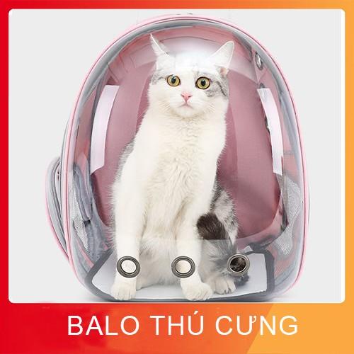 Balo thú cưng 10kg chó mèo giá rẻ địu lưng, Balo vận chuyển chó mèo đeo lưng trong suốt thời trang