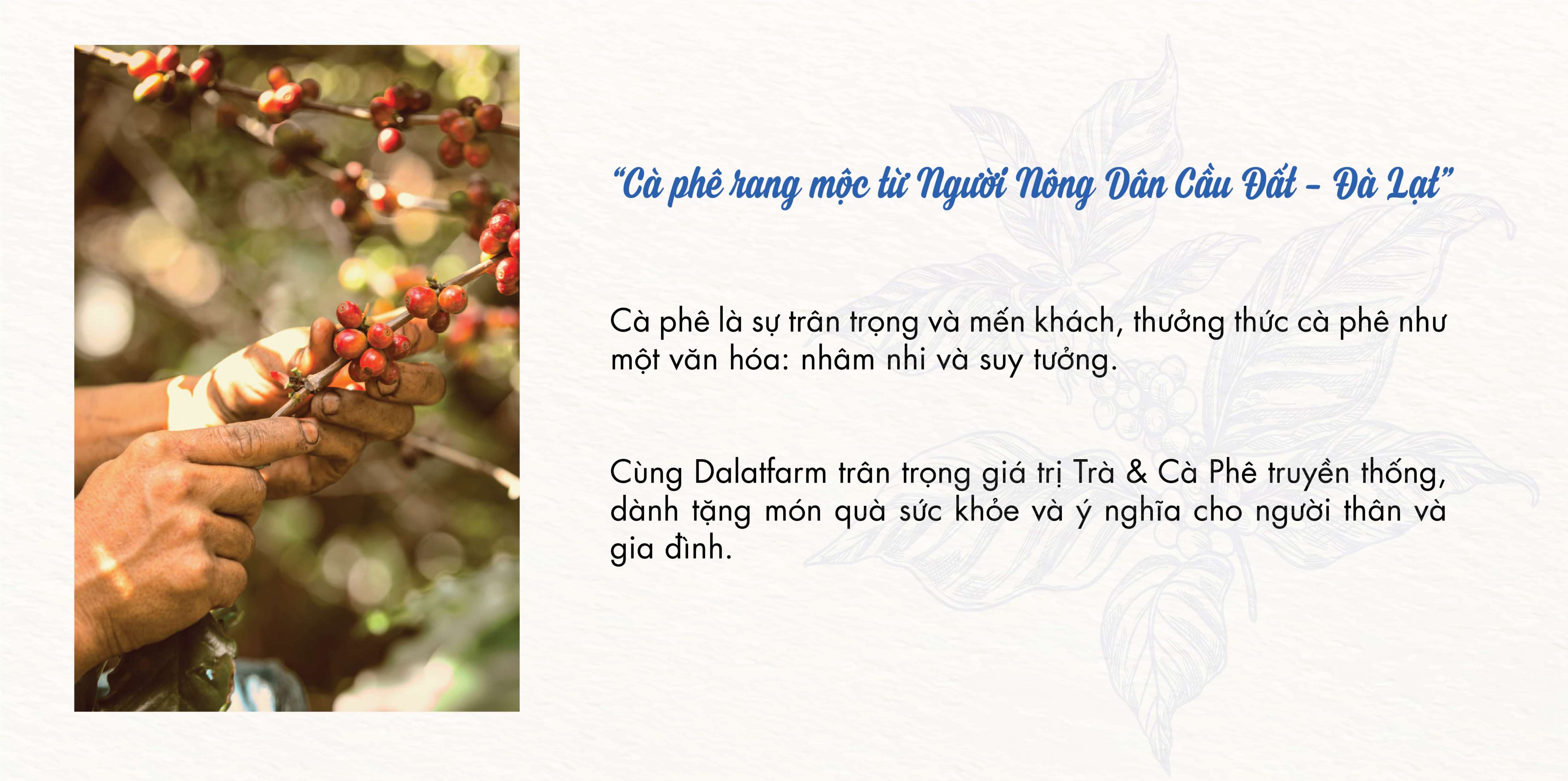 Hộp Quà Cà Phê Cầu Đất Dalat Farm - Arabica - Robusta - Phin (Dạng bột)