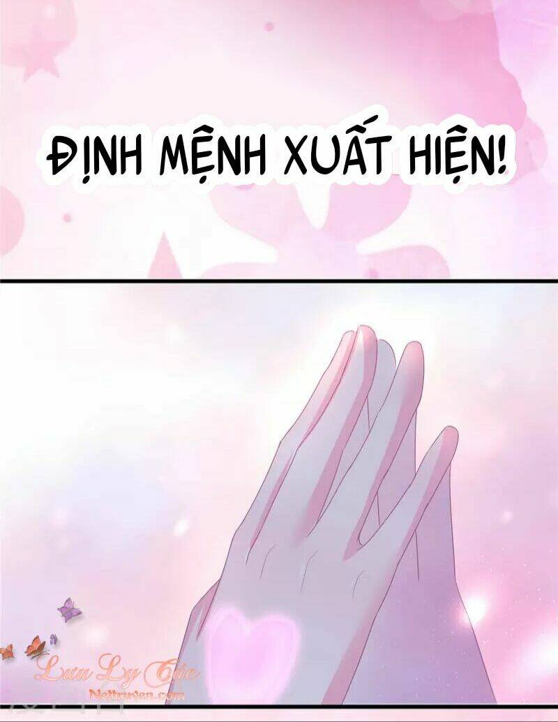 giao phó cuộc đời cho anh chapter 0 11