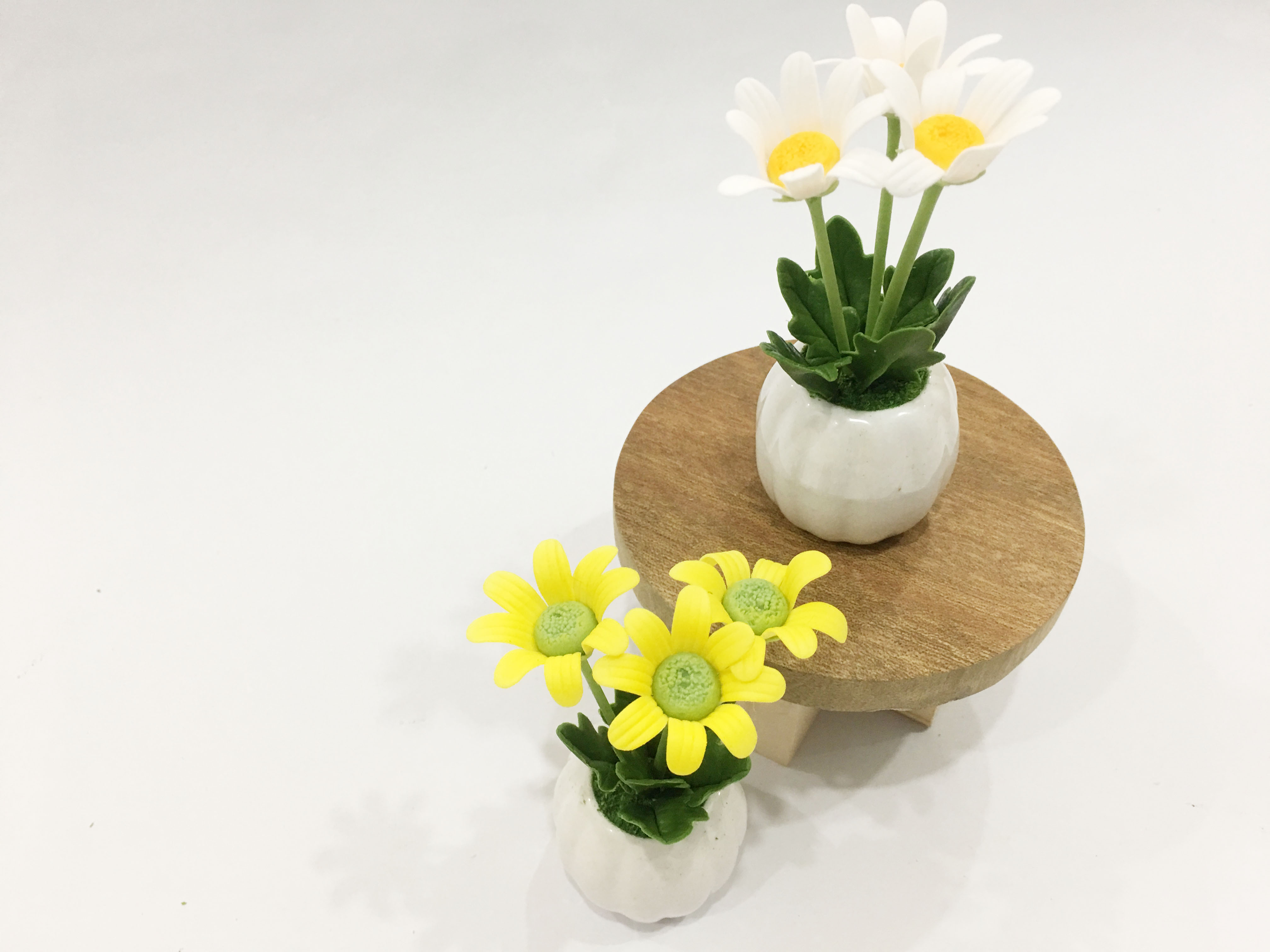 Chậu hoa đất sét mini - Cây hoa cúc họa mi (phát màu ngẫu nhiên) - Quà tặng trang trí handmade