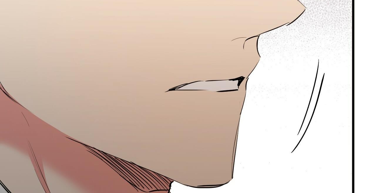 đàn thỏ của habibi chapter 36 298