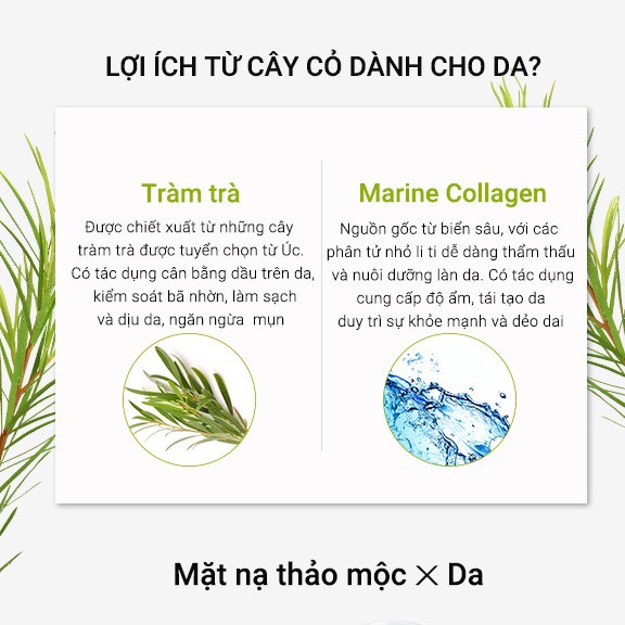 Mặt nạ Neogence N3 tinh chất tràm trà thanh lọc da- 25ml/ miếng