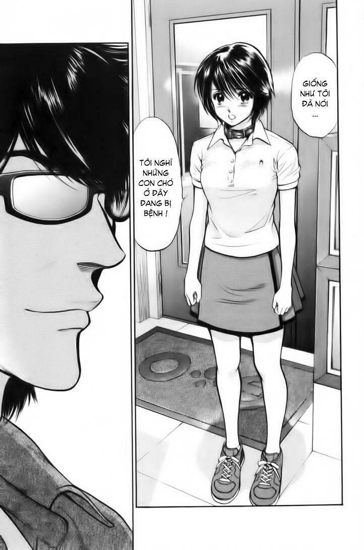 cô nàng yêu chó chapter 27 1