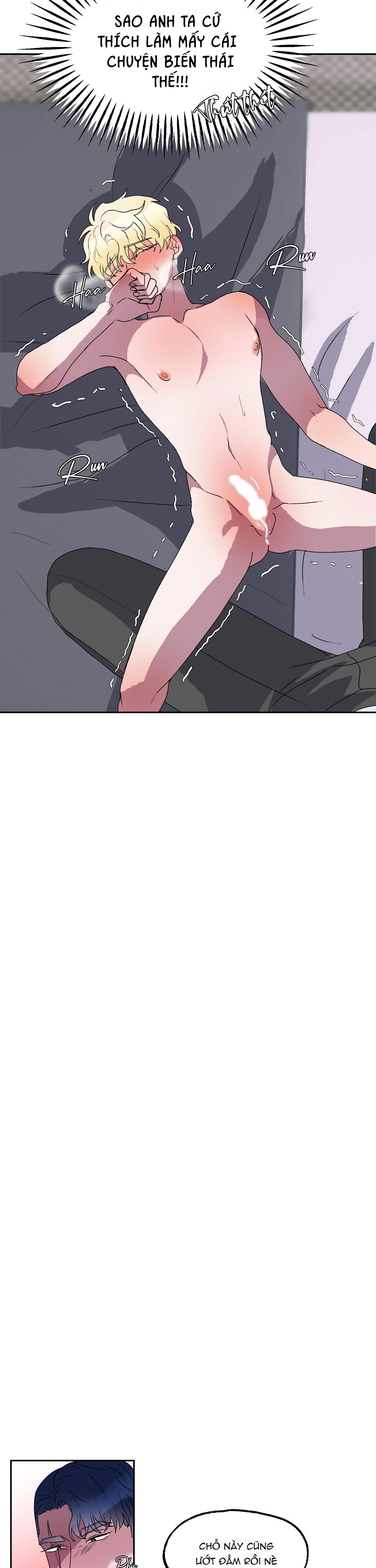 cá mập và cô dâu thỏ chapter 11 15