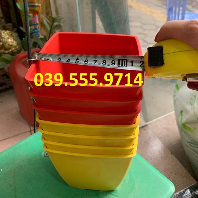 Bộ 10 Chậu Nhựa Trồng Cây V12