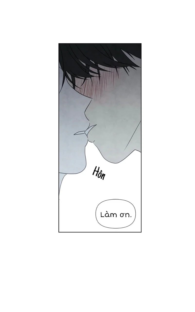 summer solstice point chapter 2 38