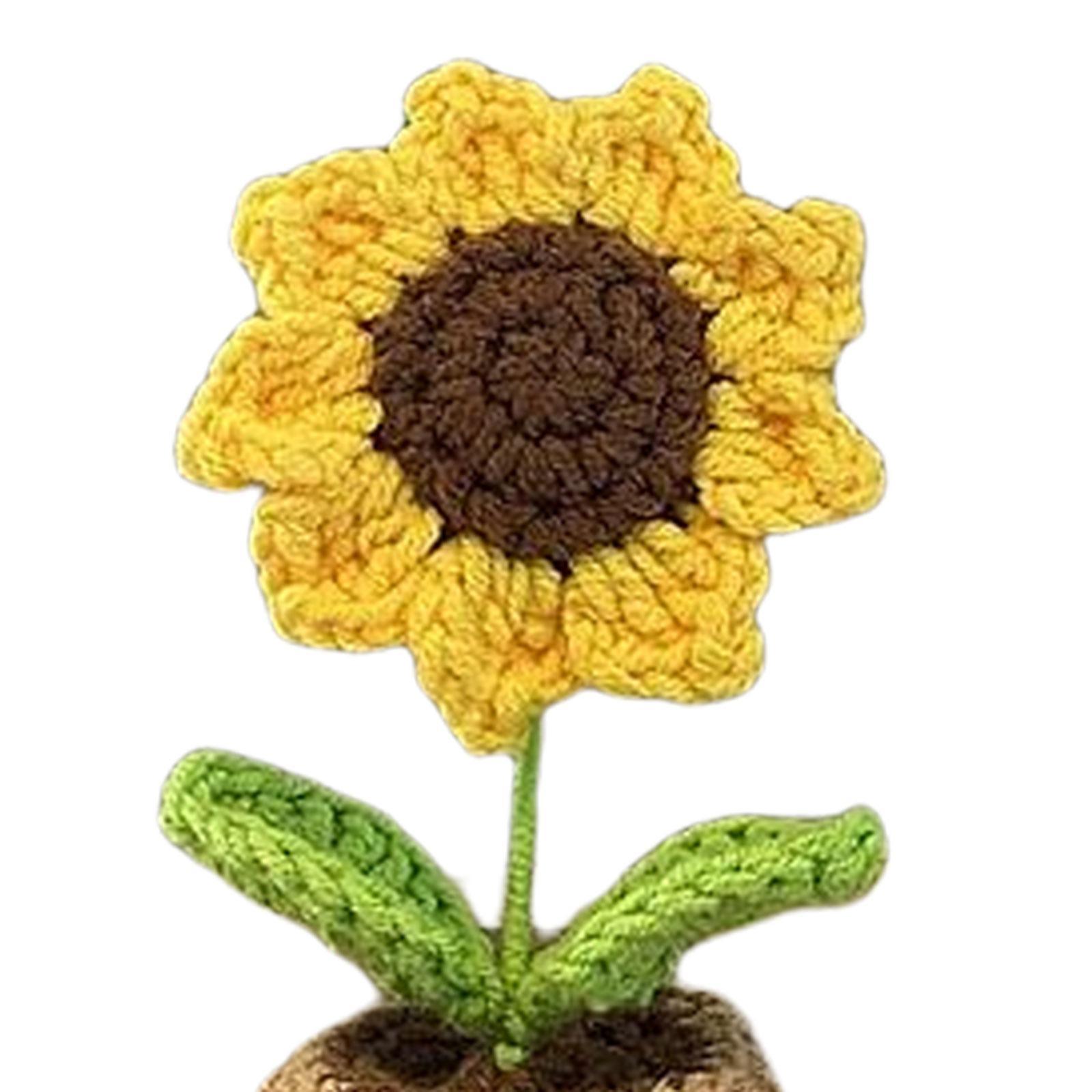 Handmade DIY Beginner Crochet Kit for Adults and Kids Includes Yarn, Hook