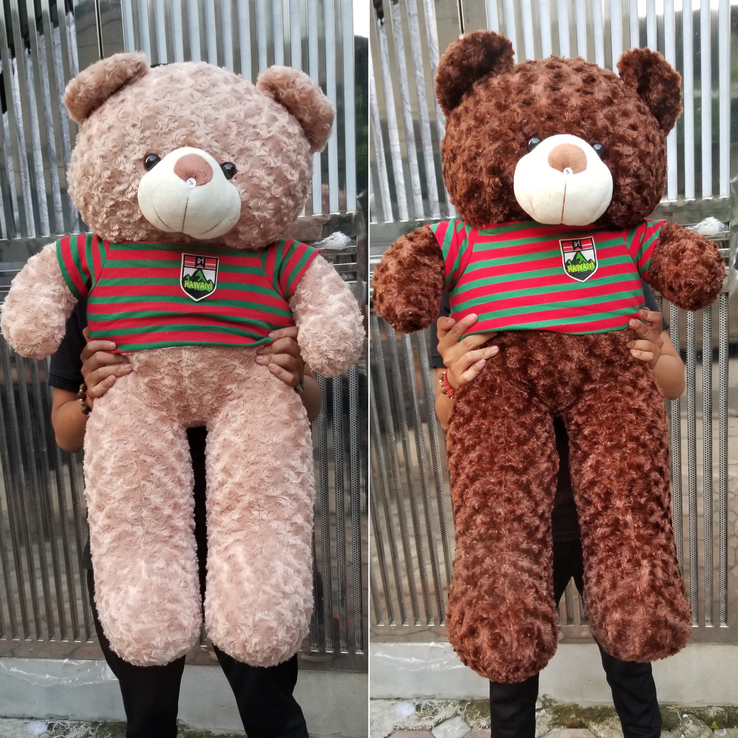 Gấu Bông Teddy 1m2 khổ vải cao 1m