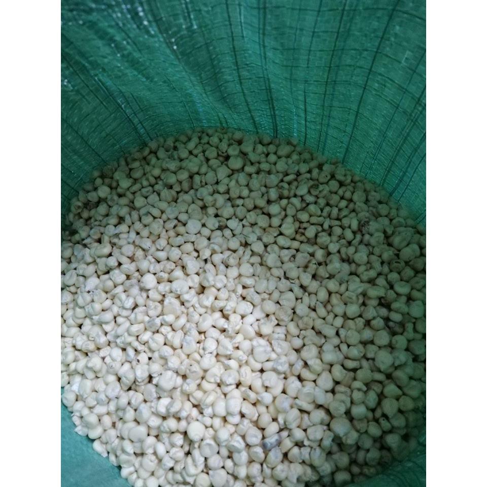 2 KG BẮP TRẮNG (NẾP)