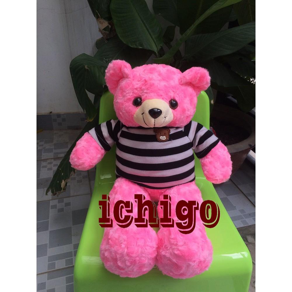 GẤU BÔNG TEDDY Cao Cấp Size 50Cm màu hồng ĐẢM BẢO 100% GÒN