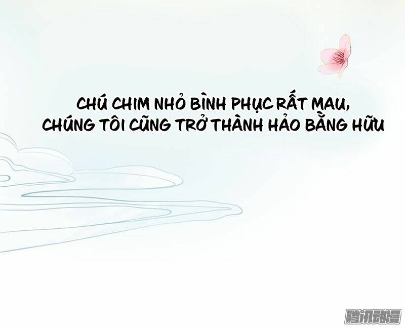 tình nhân kiếp trước là vĩ hồ chapter 1 8