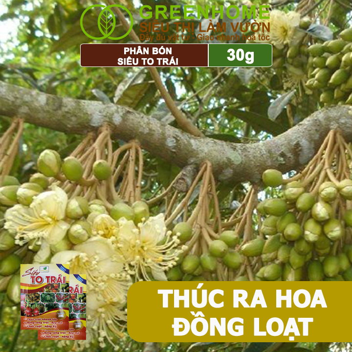 Phân Bón Siêu To Trái, GreenHome, Gói 30Gr, Thúc Trái Nhanh Lớn, Chắc Ruột, Nặng Ký, Đẹp Mã