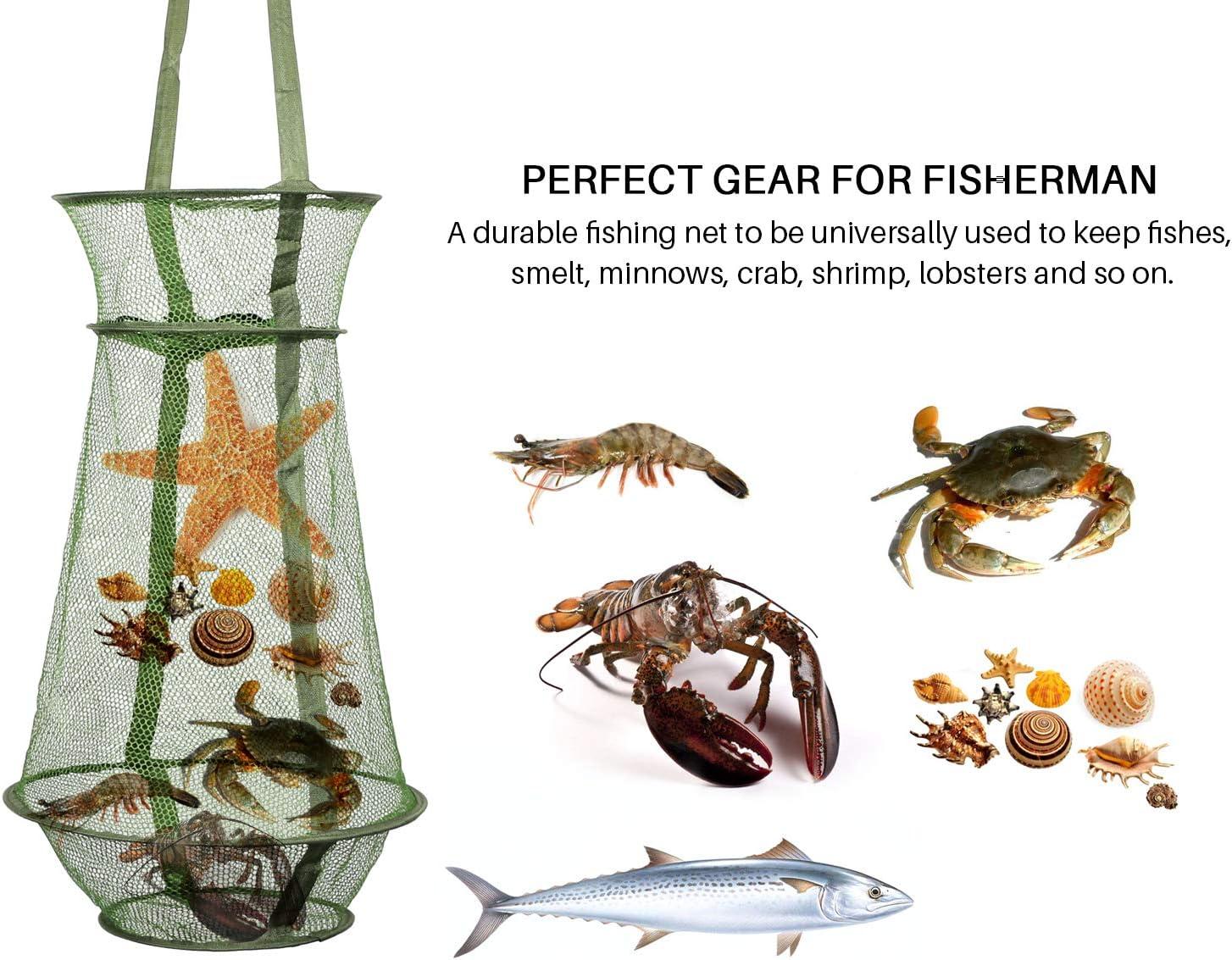 Lưới đánh cá Bẫy cá g cá có thể gập lại Giỏ câu cá để đựng mồi Tôm càng Cua Cá tuế hun khói Tôm hùm