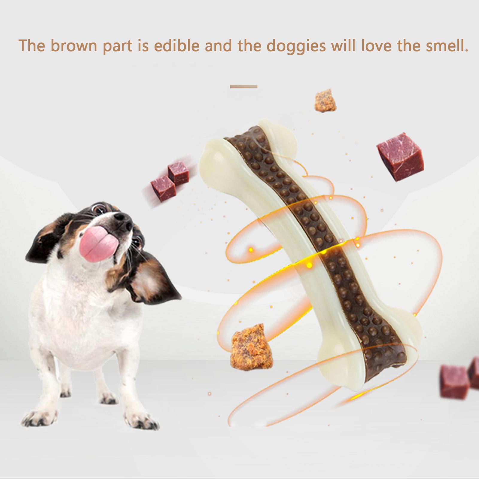 3 cái bàn chải đánh răng dành cho thú cưng