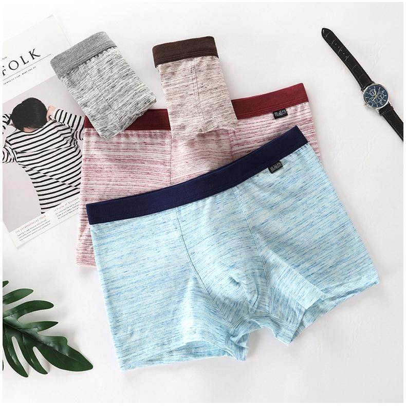 Quần lót nam dáng đùi Boxer vải cotton hàng cao cấp