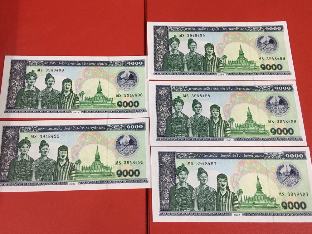 05 tờ tiền hình trâu của Lào lì xì Tết 2021 - đi kèm bao lì xì - The merrick Mint