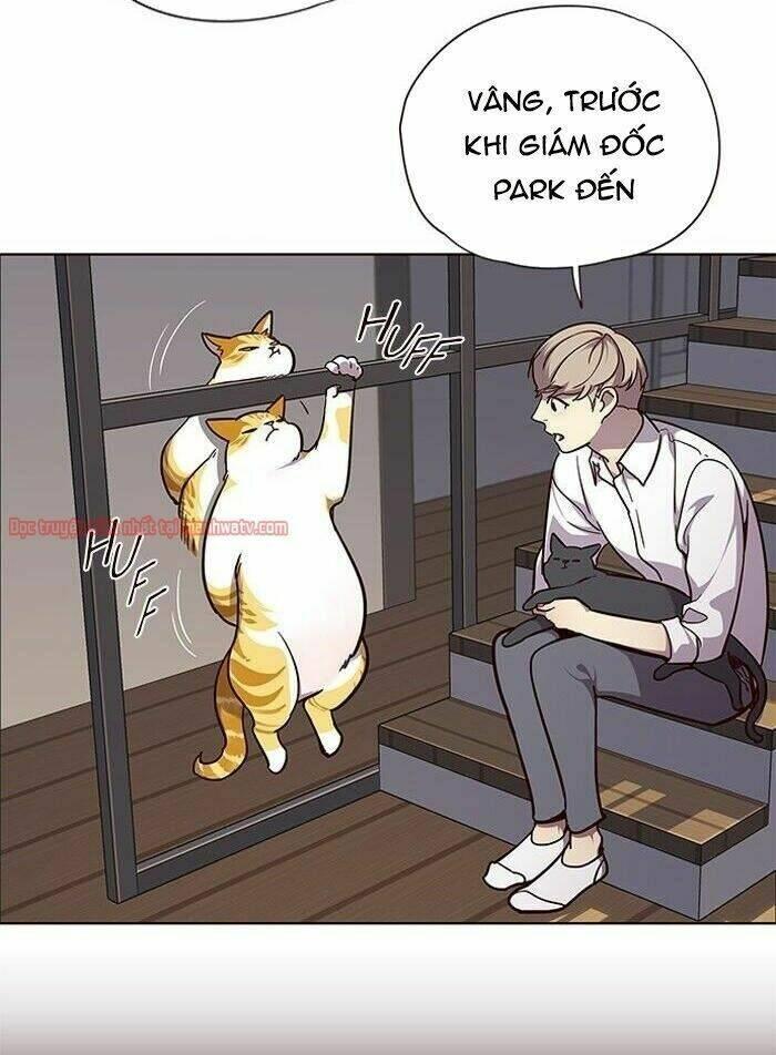 biến thân thành mèo chapter 51 5