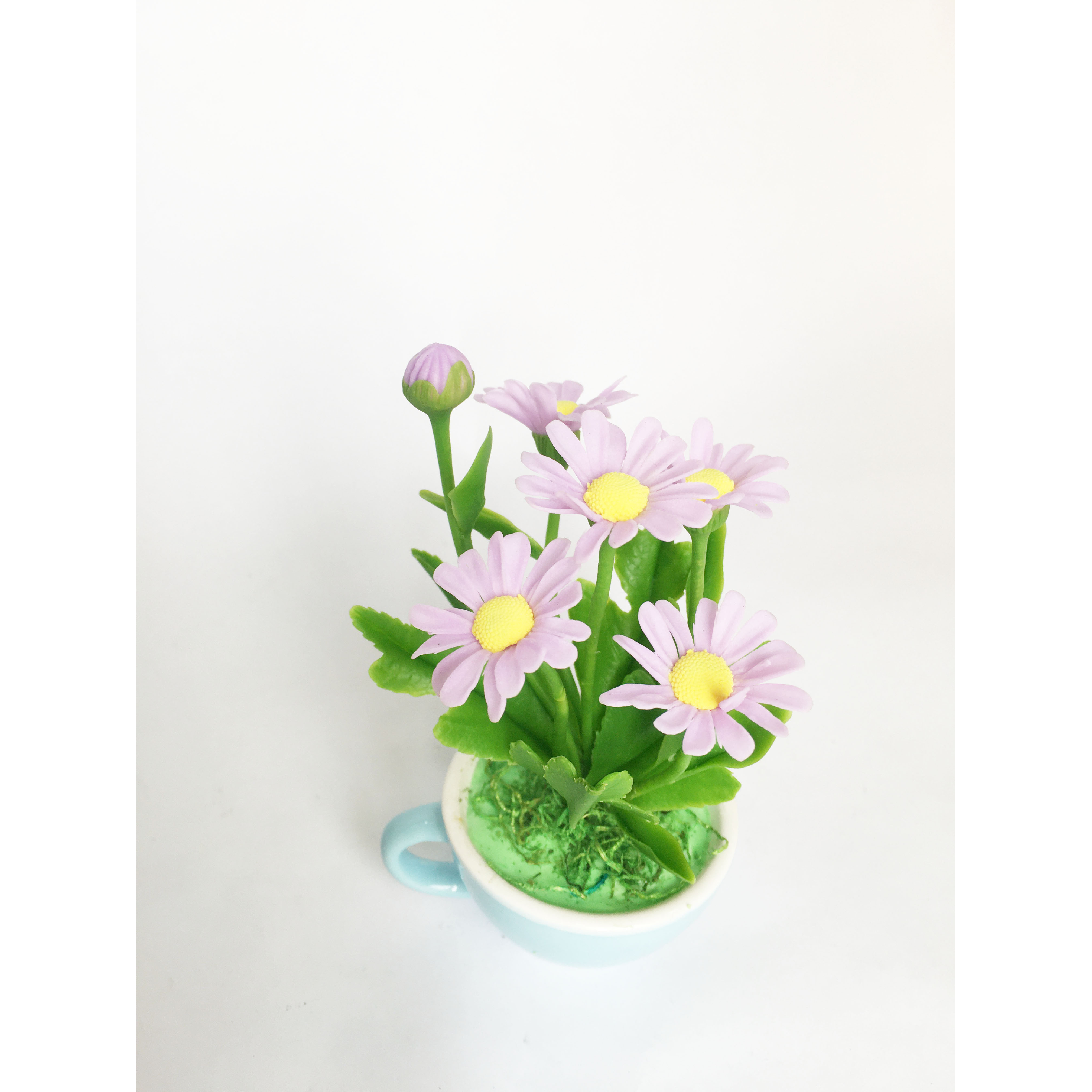 Chậu hoa đất sét mini- Bụi cúc họa mi trong cốc - Quà tặng trang trí handmade