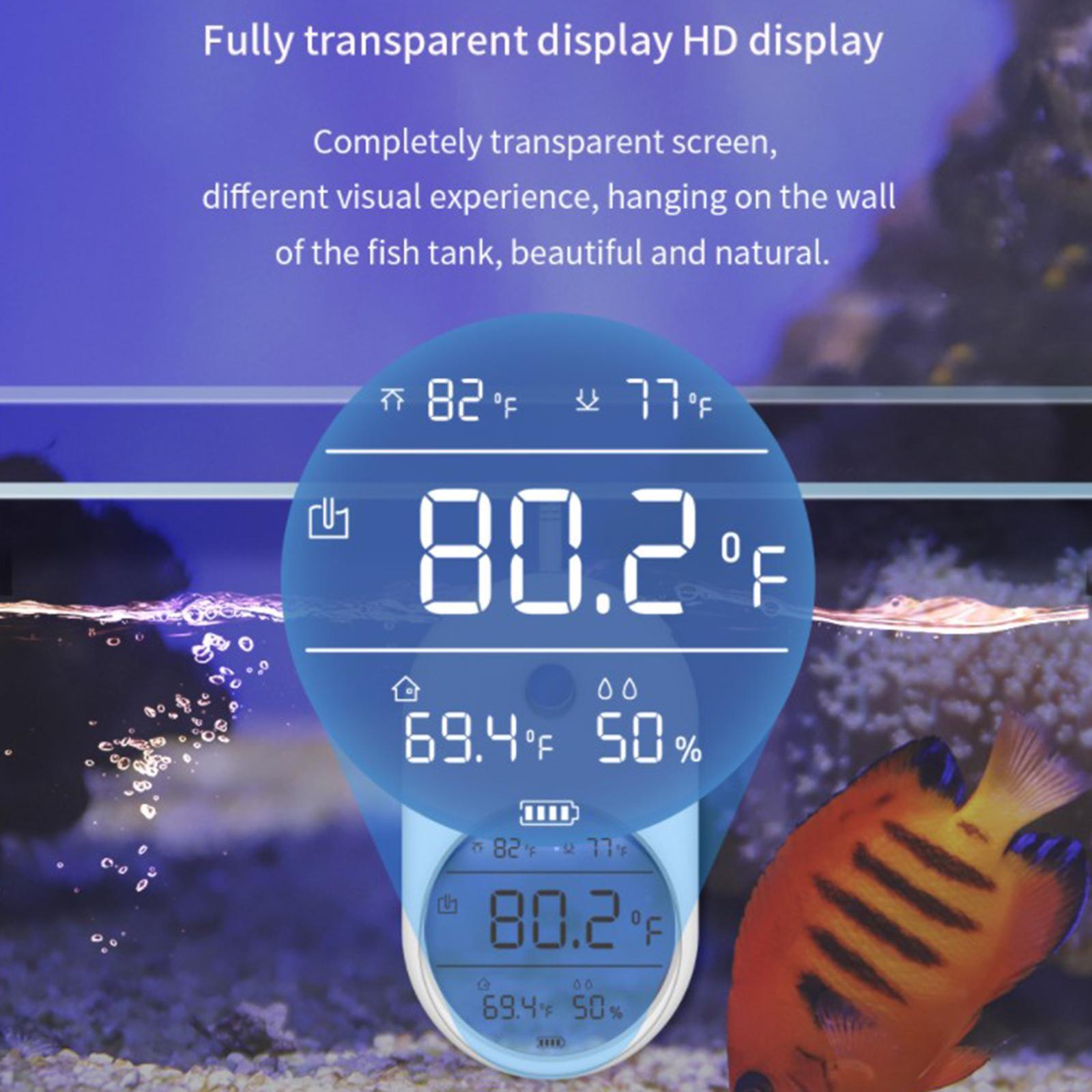 LCD Aquarium Temperature for Amphibians