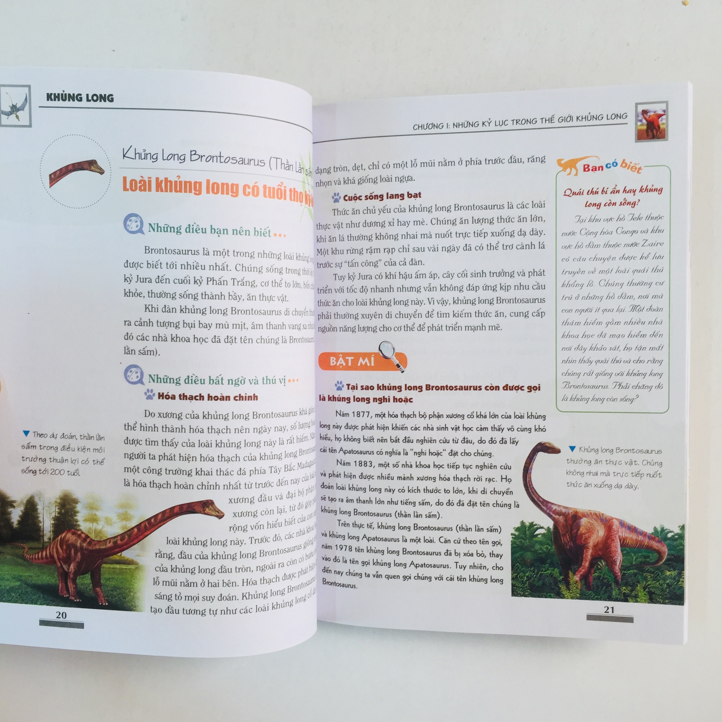 Khám Phá Bí Ẩn Thế Giới Tự Nhiên Dành Cho Học Sinh – Boxset 5 cuốn