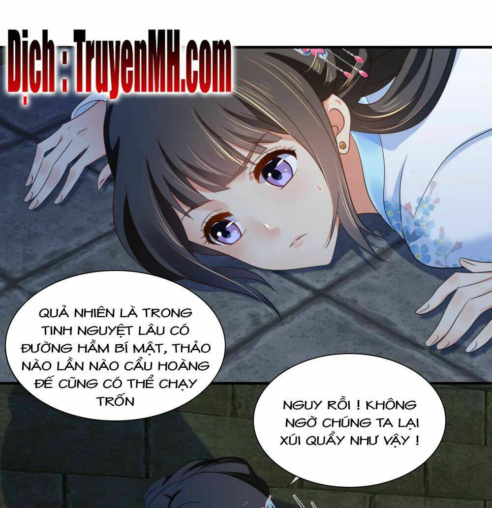 lãnh cung phế hậu muốn nghịch thiên chapter 101 19