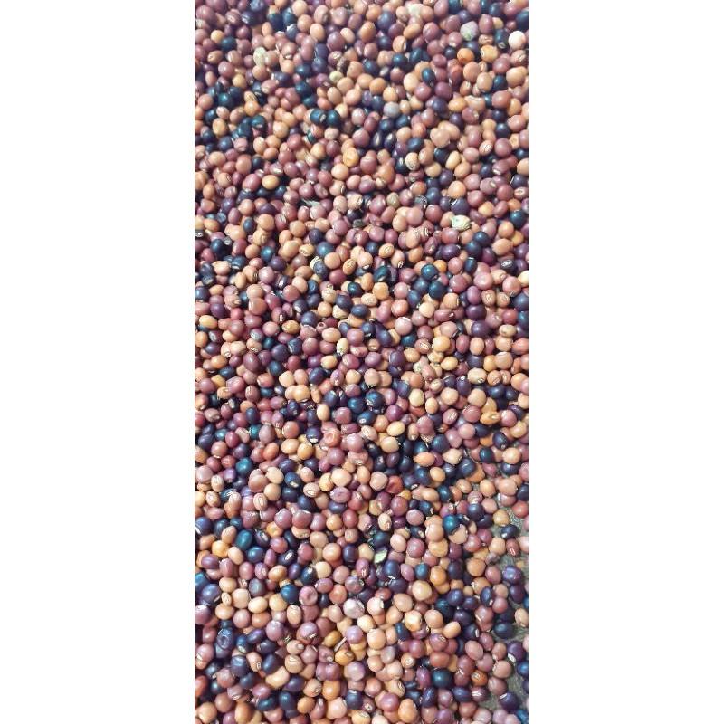 500 gram hạt đậu săng